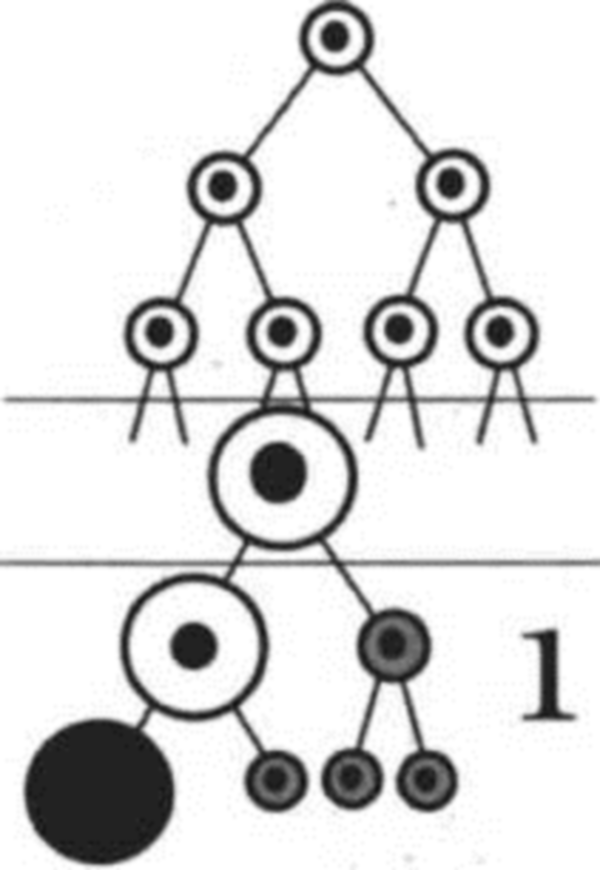 Каким номером на рисунке обозначена молекула атф рассмотрите рисунки и выполните задания 5 и 6